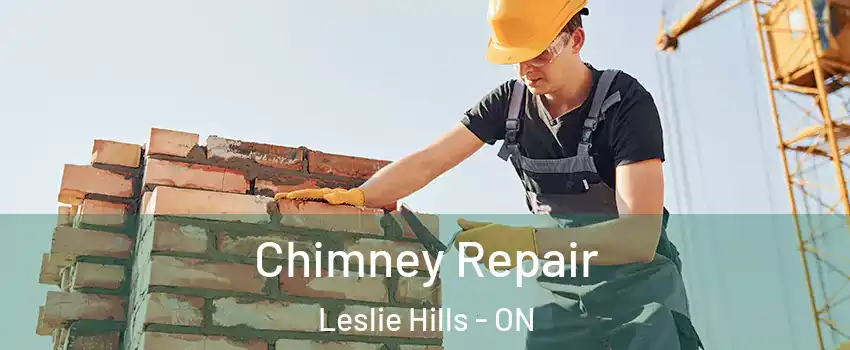  Chimney Repair Leslie Hills - ON