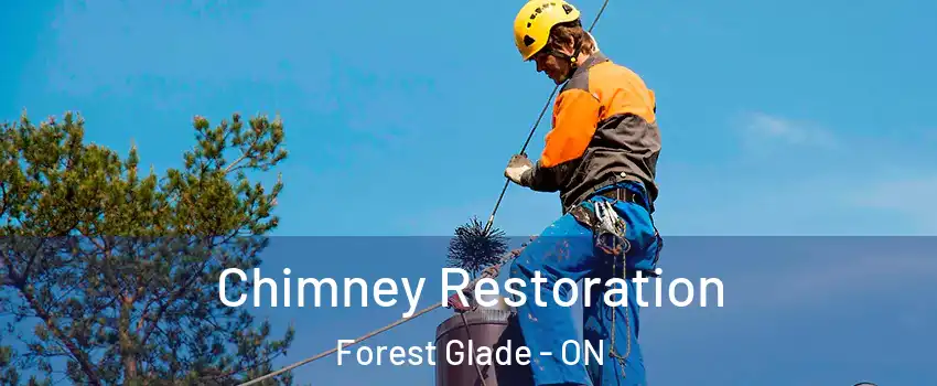 Chimney Restoration Forest Glade - ON