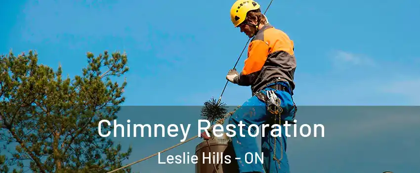 Chimney Restoration Leslie Hills - ON
