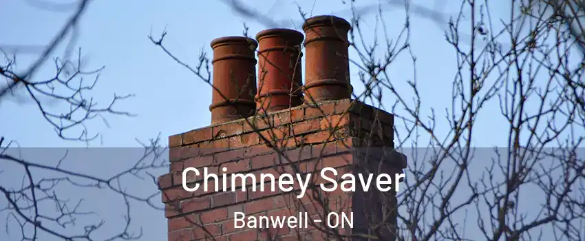 Chimney Saver Banwell - ON