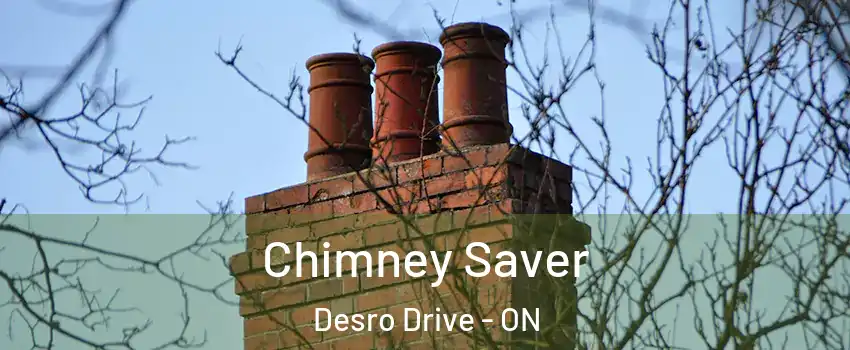 Chimney Saver Desro Drive - ON