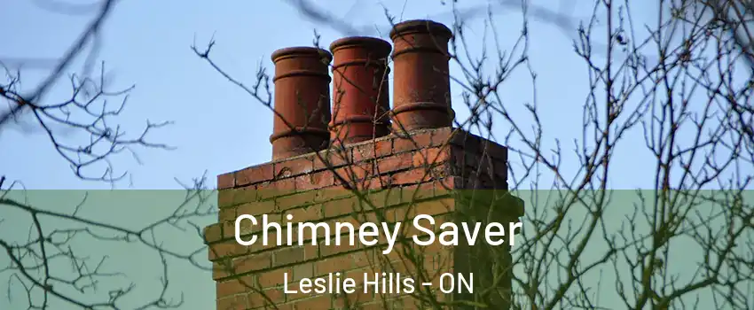  Chimney Saver Leslie Hills - ON