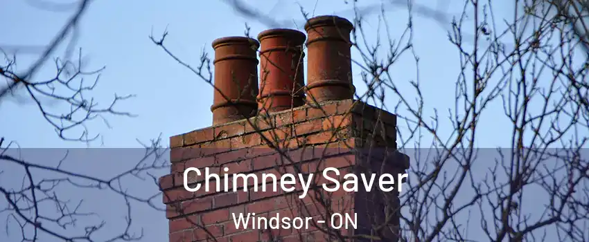 Chimney Saver Windsor - ON