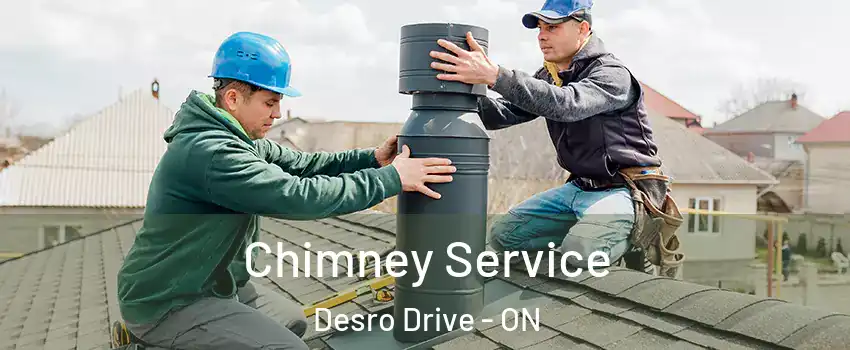 Chimney Service Desro Drive - ON
