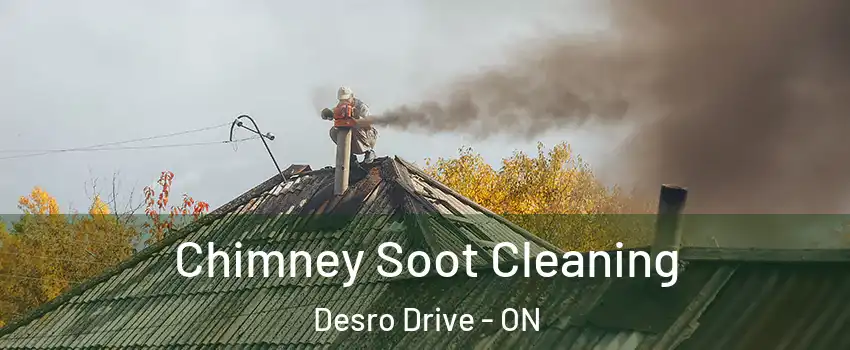  Chimney Soot Cleaning Desro Drive - ON