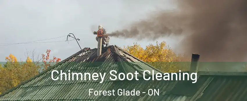  Chimney Soot Cleaning Forest Glade - ON