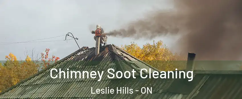  Chimney Soot Cleaning Leslie Hills - ON