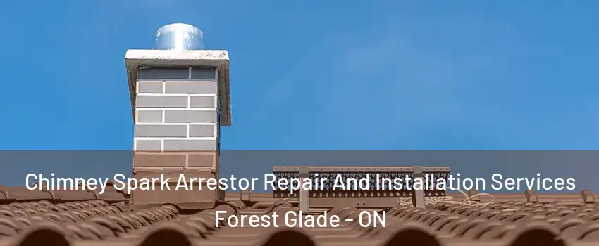  Chimney Spark Arrestor Repair And Installation Services Forest Glade - ON