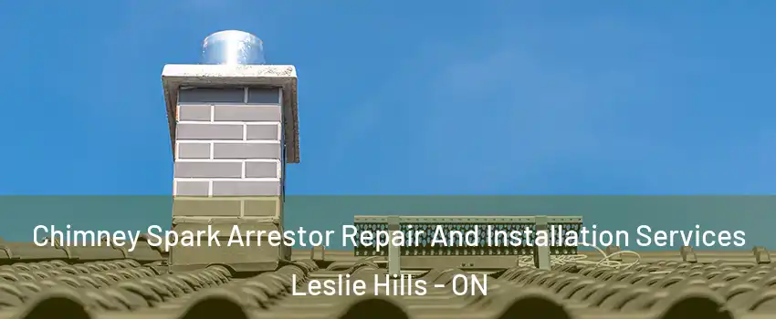 Chimney Spark Arrestor Repair And Installation Services Leslie Hills - ON