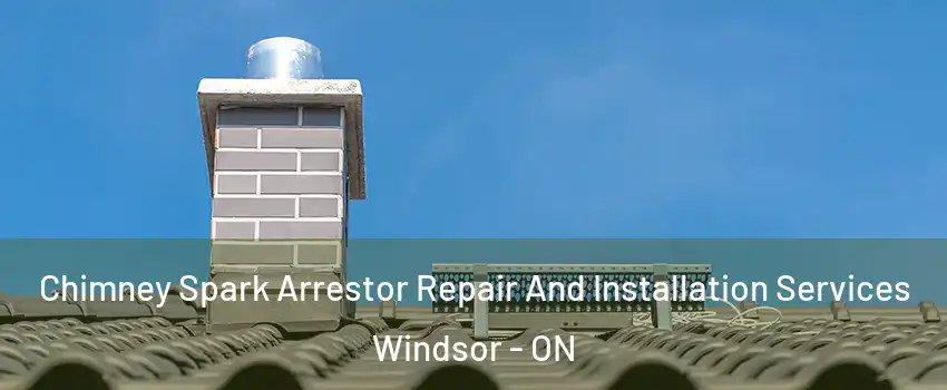 Chimney Spark Arrestor Repair And Installation Services Windsor - ON