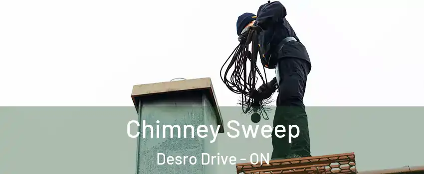  Chimney Sweep Desro Drive - ON