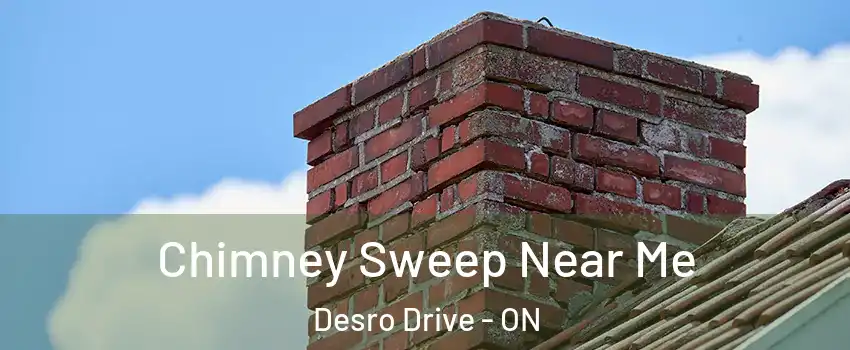  Chimney Sweep Near Me Desro Drive - ON