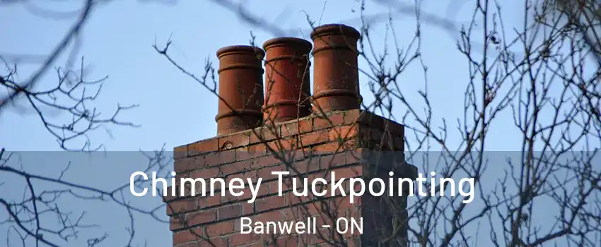  Chimney Tuckpointing Banwell - ON