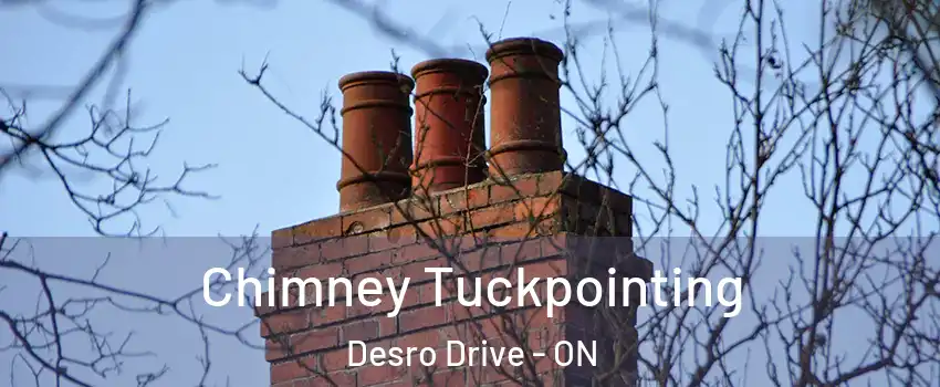  Chimney Tuckpointing Desro Drive - ON