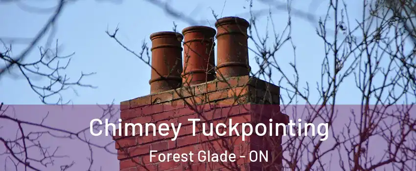  Chimney Tuckpointing Forest Glade - ON