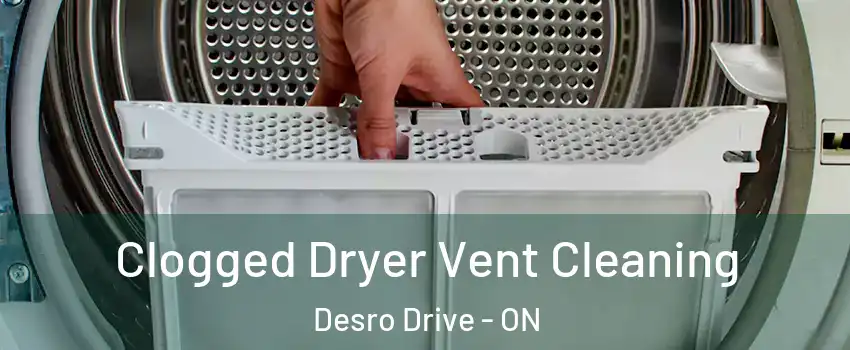 Clogged Dryer Vent Cleaning Desro Drive - ON