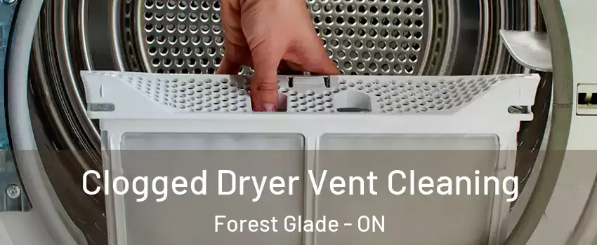  Clogged Dryer Vent Cleaning Forest Glade - ON