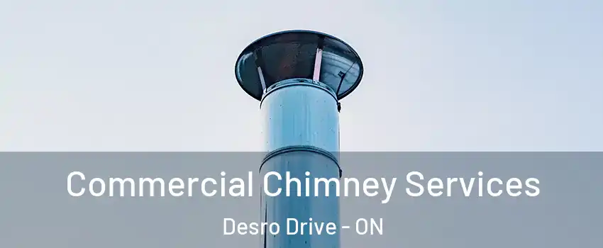  Commercial Chimney Services Desro Drive - ON