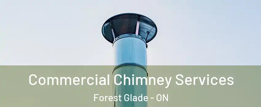  Commercial Chimney Services Forest Glade - ON