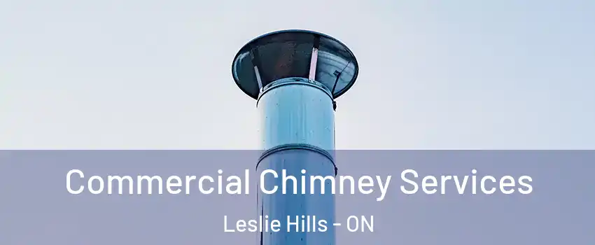  Commercial Chimney Services Leslie Hills - ON