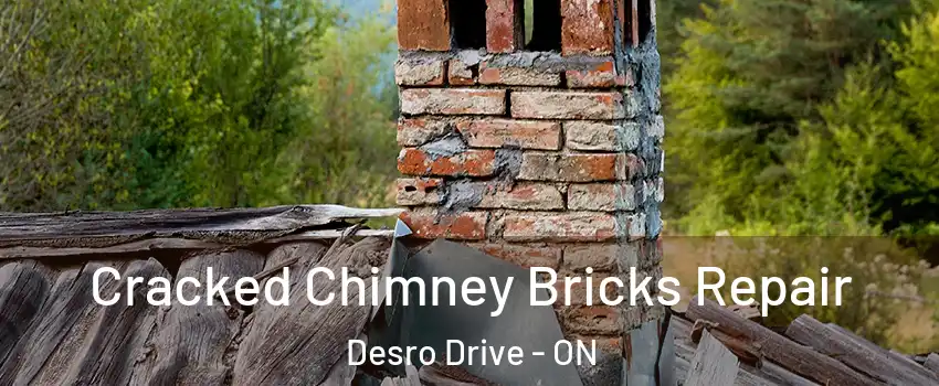  Cracked Chimney Bricks Repair Desro Drive - ON