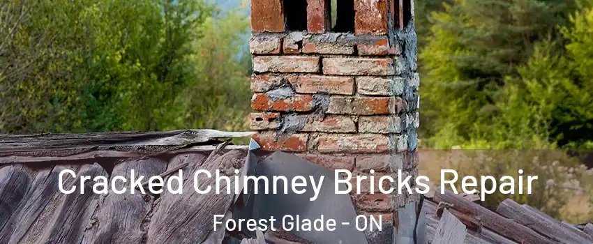  Cracked Chimney Bricks Repair Forest Glade - ON