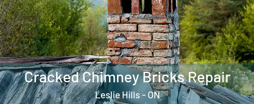 Cracked Chimney Bricks Repair Leslie Hills - ON