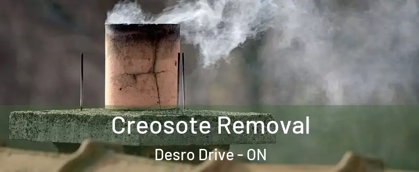  Creosote Removal Desro Drive - ON