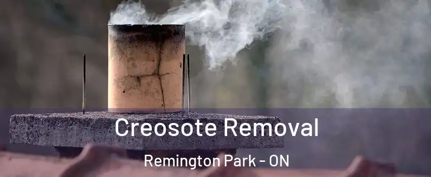 Creosote Removal Remington Park - ON