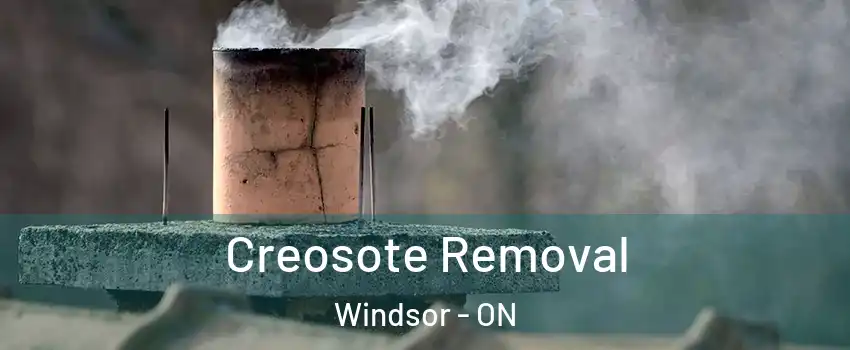 Creosote Removal Windsor - ON