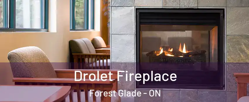  Drolet Fireplace Forest Glade - ON