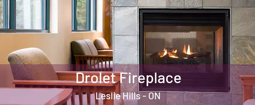  Drolet Fireplace Leslie Hills - ON