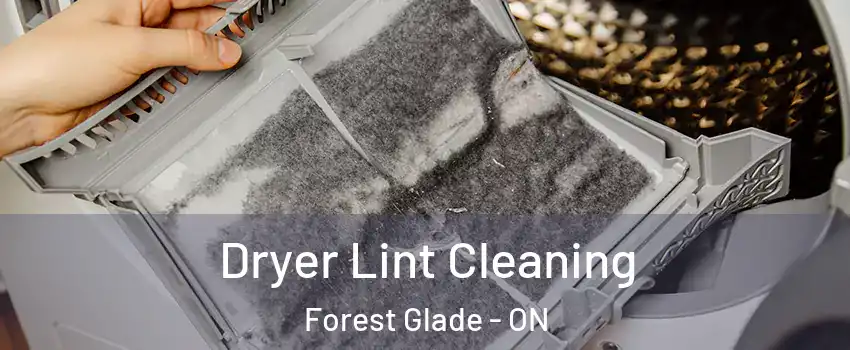  Dryer Lint Cleaning Forest Glade - ON
