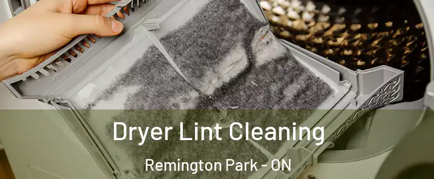  Dryer Lint Cleaning Remington Park - ON