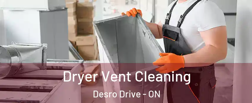  Dryer Vent Cleaning Desro Drive - ON