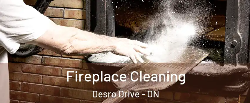  Fireplace Cleaning Desro Drive - ON