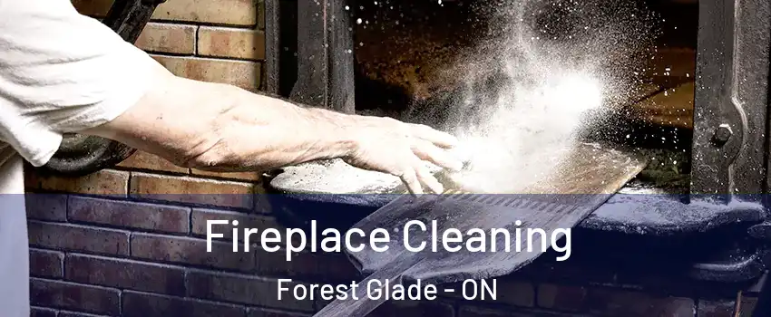  Fireplace Cleaning Forest Glade - ON