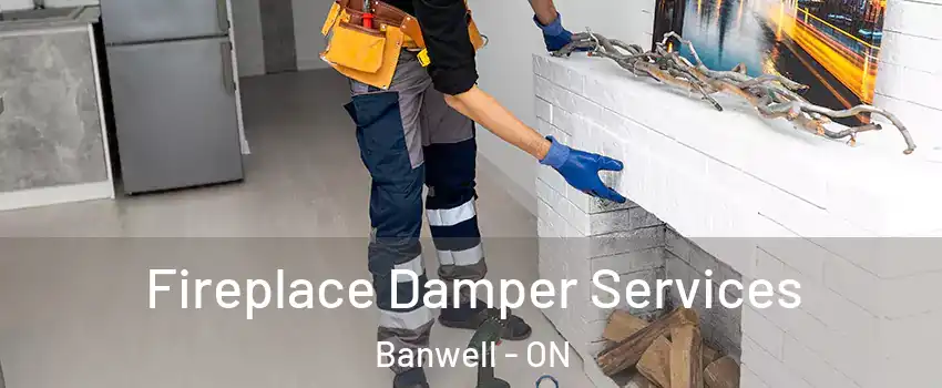  Fireplace Damper Services Banwell - ON