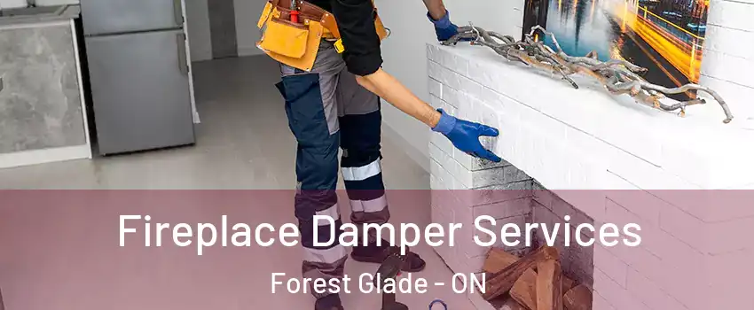  Fireplace Damper Services Forest Glade - ON