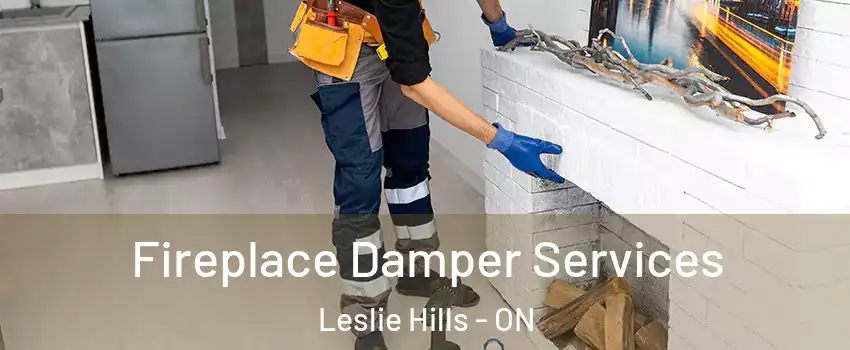  Fireplace Damper Services Leslie Hills - ON