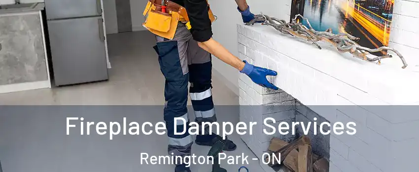  Fireplace Damper Services Remington Park - ON