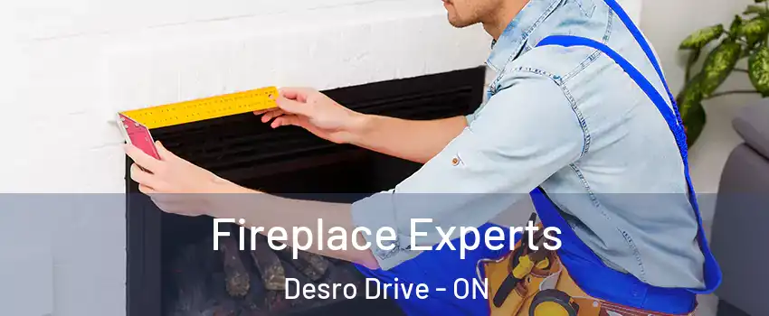  Fireplace Experts Desro Drive - ON