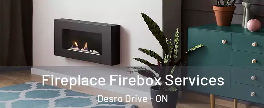 Fireplace Firebox Services Desro Drive - ON