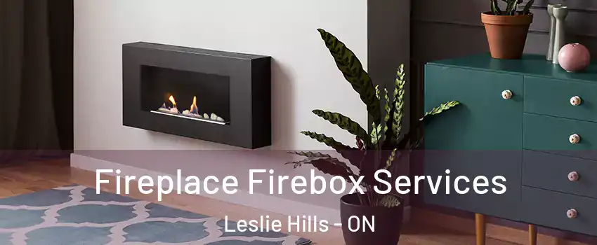  Fireplace Firebox Services Leslie Hills - ON