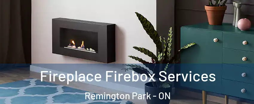  Fireplace Firebox Services Remington Park - ON
