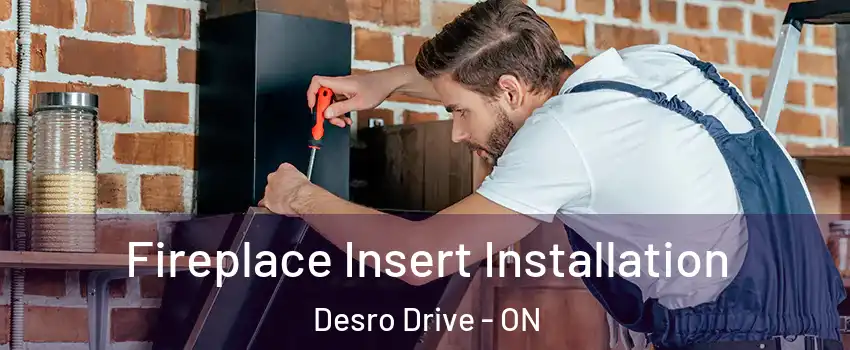  Fireplace Insert Installation Desro Drive - ON