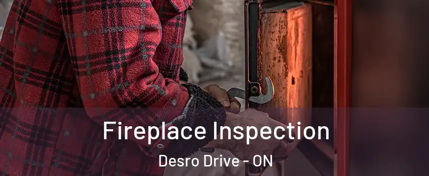  Fireplace Inspection Desro Drive - ON