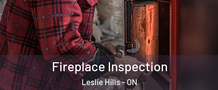  Fireplace Inspection Leslie Hills - ON