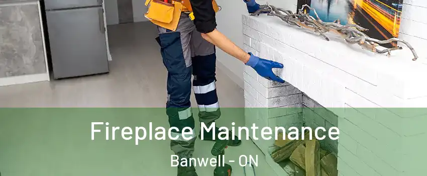  Fireplace Maintenance Banwell - ON