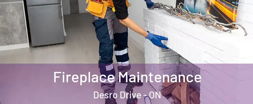  Fireplace Maintenance Desro Drive - ON